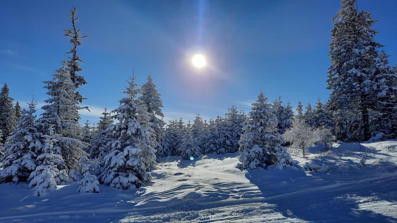 Belle Air Lodge Mönichkirchen Εξωτερικό φωτογραφία